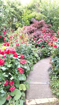 横浜イングリッシュガーデンに投稿された画像（2024/5/16）