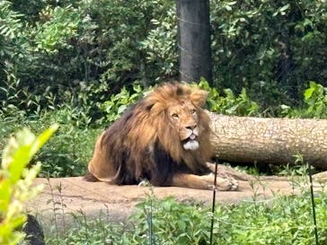到津の森公園に投稿された画像（2024/5/16）