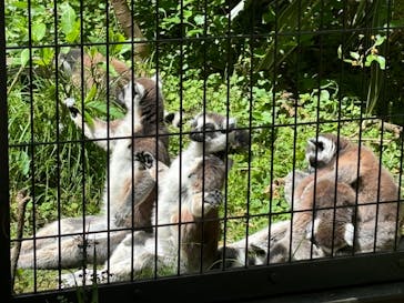 到津の森公園に投稿された画像（2024/5/16）