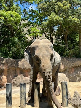 到津の森公園に投稿された画像（2024/5/16）