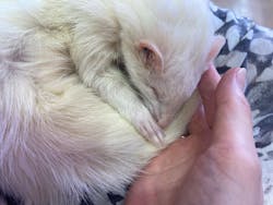 原宿かわいい動物園に投稿された画像（2024/5/16）