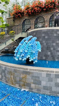 浜名湖花博2024に投稿された画像（2024/5/16）