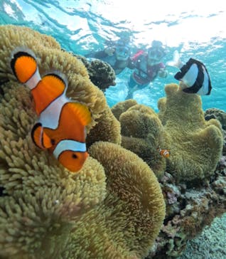 宮古島マリンショップSmileyに投稿された画像（2024/5/16）