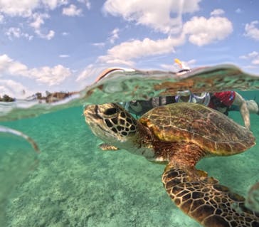 宮古島マリンショップSmileyに投稿された画像（2024/5/16）