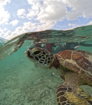 宮古島マリンショップSmileyに投稿された画像（2024/5/16）