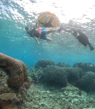 宮古島マリンショップSmileyに投稿された画像（2024/5/16）