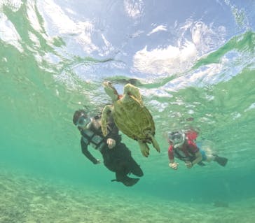 宮古島マリンショップSmileyに投稿された画像（2024/5/16）