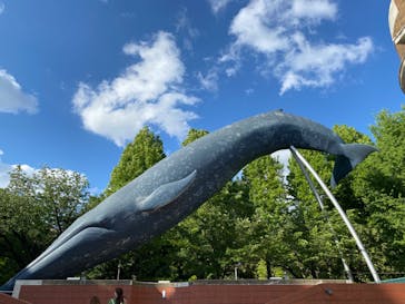 国立科学博物館に投稿された画像（2024/5/16）