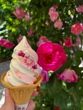 横浜イングリッシュガーデンに投稿された画像（2024/5/16）