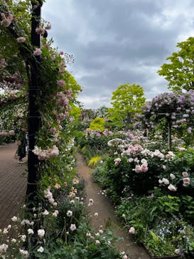横浜イングリッシュガーデンに投稿された画像（2024/5/16）