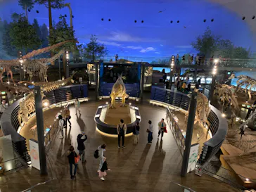 福井県立恐竜博物館に投稿された画像（2024/5/16）