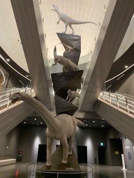 福井県立恐竜博物館に投稿された画像（2024/5/16）