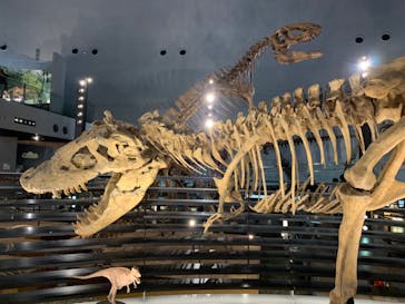 福井県立恐竜博物館に投稿された画像（2024/5/16）