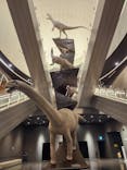 福井県立恐竜博物館に投稿された画像（2024/5/16）