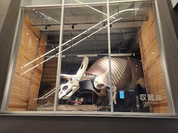 福井県立恐竜博物館に投稿された画像（2024/5/16）