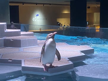 AOAO SAPPOROに投稿された画像（2024/5/16）