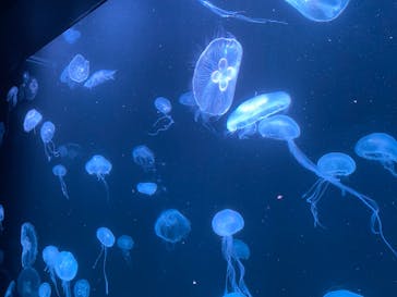 AOAO SAPPOROに投稿された画像（2024/5/16）