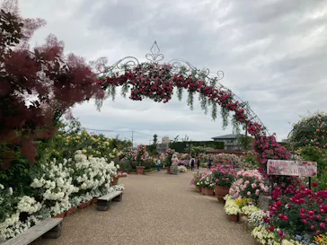 ひらかたパークに投稿された画像（2024/5/16）