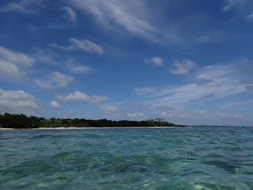 石垣島 ADVENTURE PiPi（イシガキジマアドベンチャーピピ）に投稿された画像（2024/5/16）