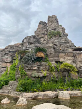 ひらかたパークに投稿された画像（2024/5/16）