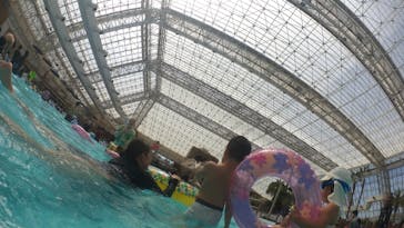 東京サマーランドに投稿された画像（2024/5/16）