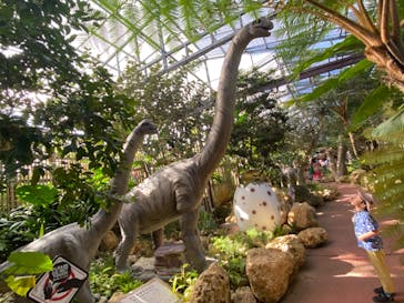 ナゴパイナップルパークに投稿された画像（2024/5/16）