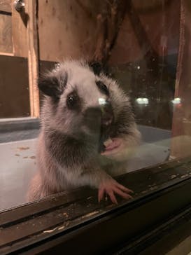 伊豆シャボテン動物公園に投稿された画像（2024/5/16）