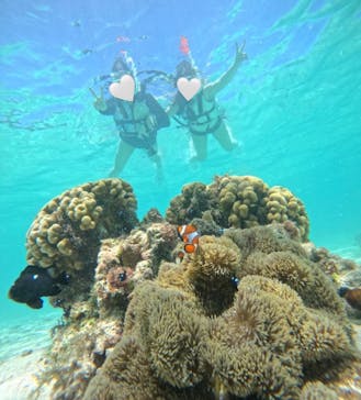 宮古島マリン SUGAR3（シュガースリー）に投稿された画像（2024/5/16）