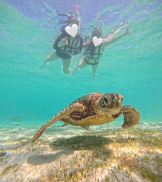 宮古島マリン SUGAR3（シュガースリー）に投稿された画像（2024/5/16）