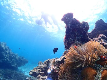 CHAMP TOUR　宮古島に投稿された画像（2024/5/16）