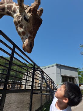 宇都宮動物園に投稿された画像（2024/5/16）