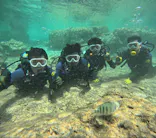 武藤潜水に投稿された画像（2024/5/17）