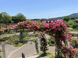 いばらきフラワーパークに投稿された画像（2024/5/17）
