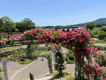 いばらきフラワーパークに投稿された画像（2024/5/17）