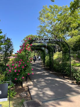 いばらきフラワーパークに投稿された画像（2024/5/17）