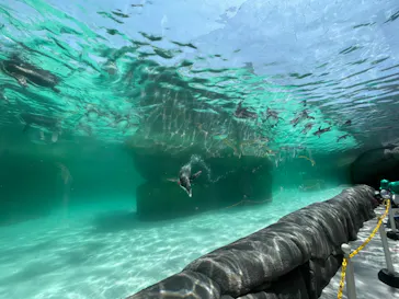 天王寺動物園に投稿された画像（2024/5/17）