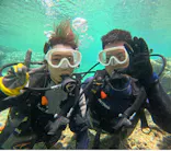 武藤潜水に投稿された画像（2024/5/17）