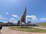 福井県立恐竜博物館に投稿された画像（2024/5/17）