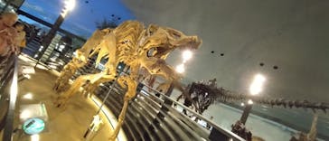 福井県立恐竜博物館に投稿された画像（2024/5/17）