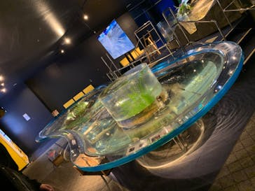 サケのふるさと 千歳水族館に投稿された画像（2024/5/17）