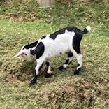 沖縄こどもの国に投稿された画像（2024/5/17）