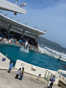 鴨川シーワールドに投稿された画像（2024/5/17）