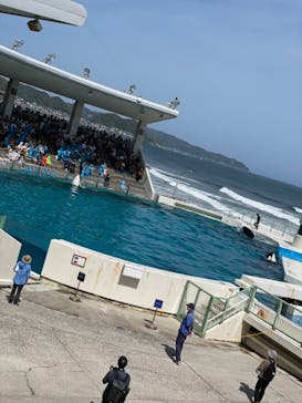 鴨川シーワールドに投稿された画像（2024/5/17）