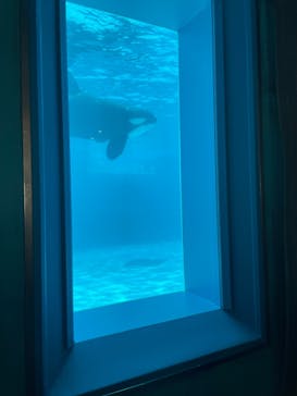 鴨川シーワールドに投稿された画像（2024/5/17）