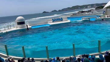 鴨川シーワールドに投稿された画像（2024/5/17）