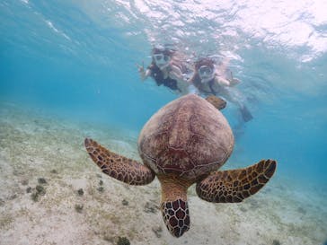 宮古島マリンショップSmileyに投稿された画像（2024/5/17）
