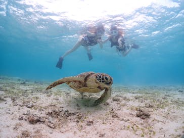 宮古島マリンショップSmileyに投稿された画像（2024/5/17）