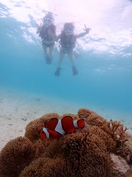 宮古島マリンショップSmileyに投稿された画像（2024/5/17）