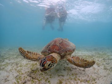 宮古島マリンショップSmileyに投稿された画像（2024/5/17）
