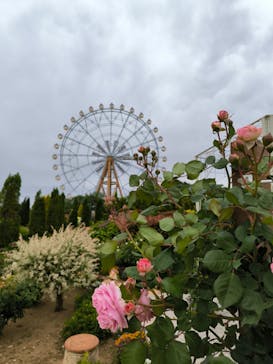 東武動物公園に投稿された画像（2024/5/6）